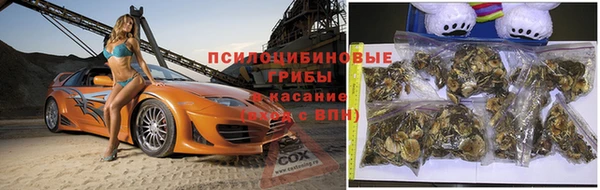 прущие крисы Алексин