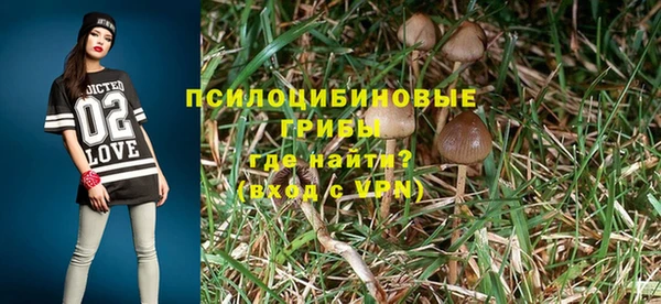 прущие крисы Алексин